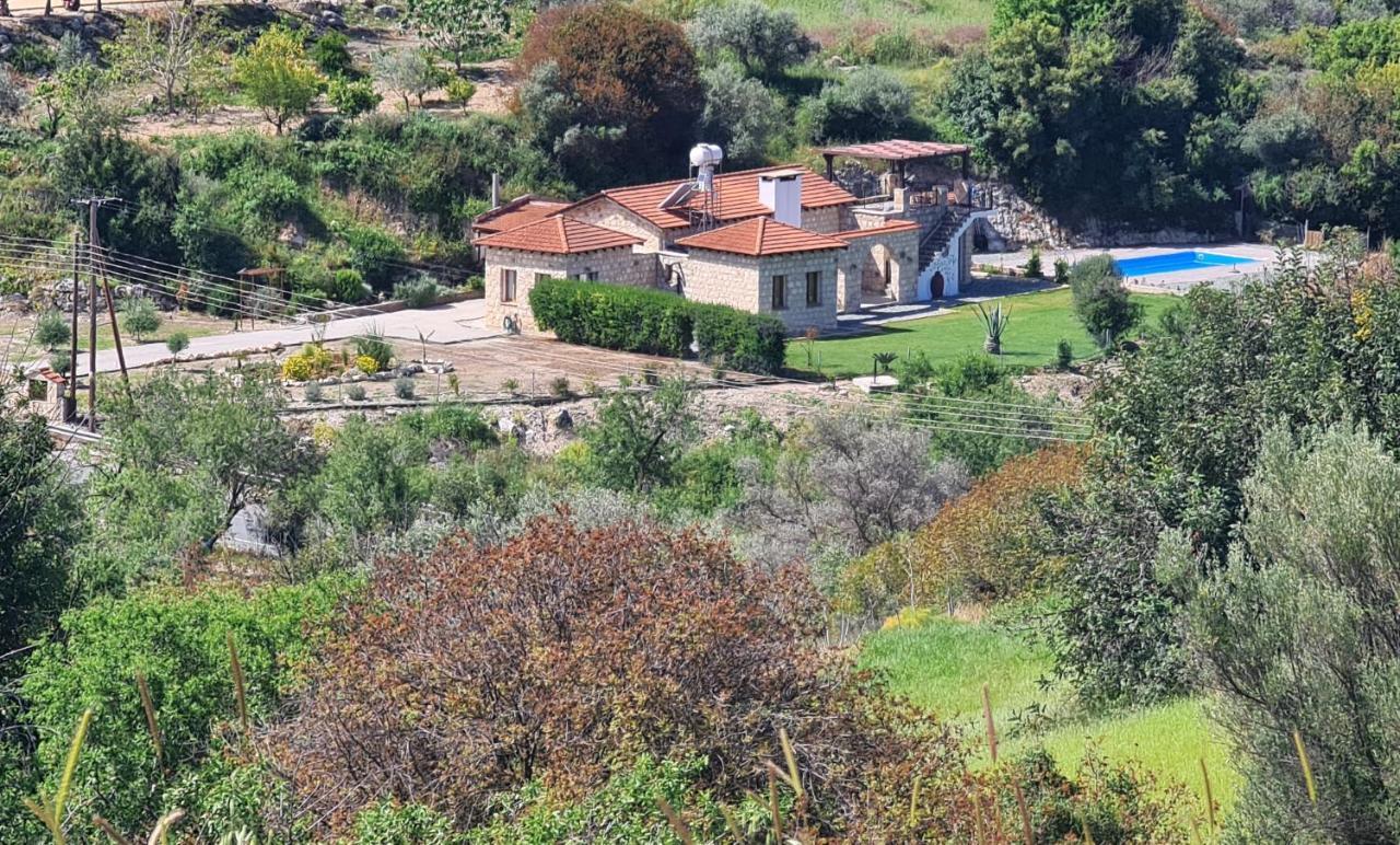 Gaia Residence, Peristerona, Polis Chrysochous Paphos Exteriör bild